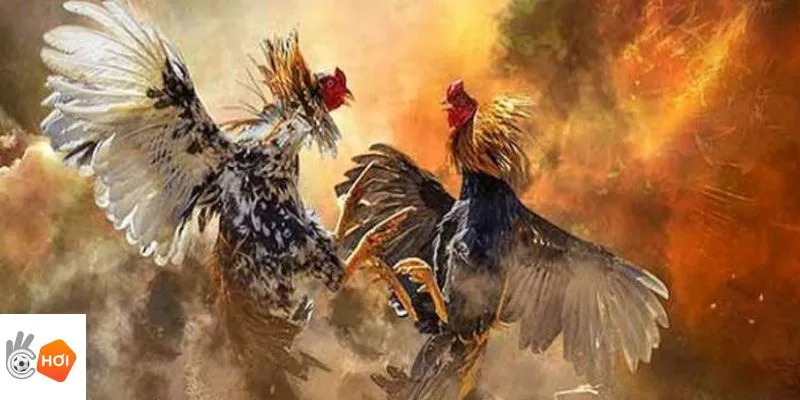 Phân tích lịch thi đấu kết hợp chọn trận hợp lý giúp tối ưu hiệu quả cá cược tại Okchoi